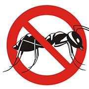 ant exterminator independence, mo