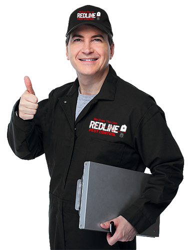 The Top Pest Control Provide in Independence, MO - Redline Pest Control