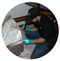 a redline pest control technician inspecting for bed bugs